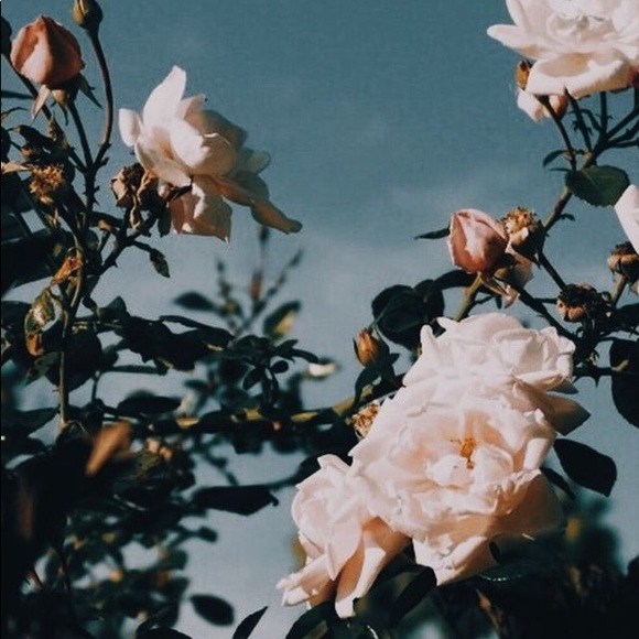 ‼️ I’M OPEN TO OFFERS ‼️ - Picture 1 of 1